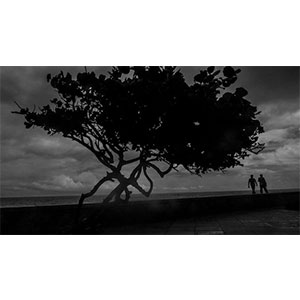 RS-AISI_TREE 2