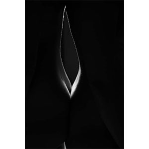 RS-AISI_NATURAL 3